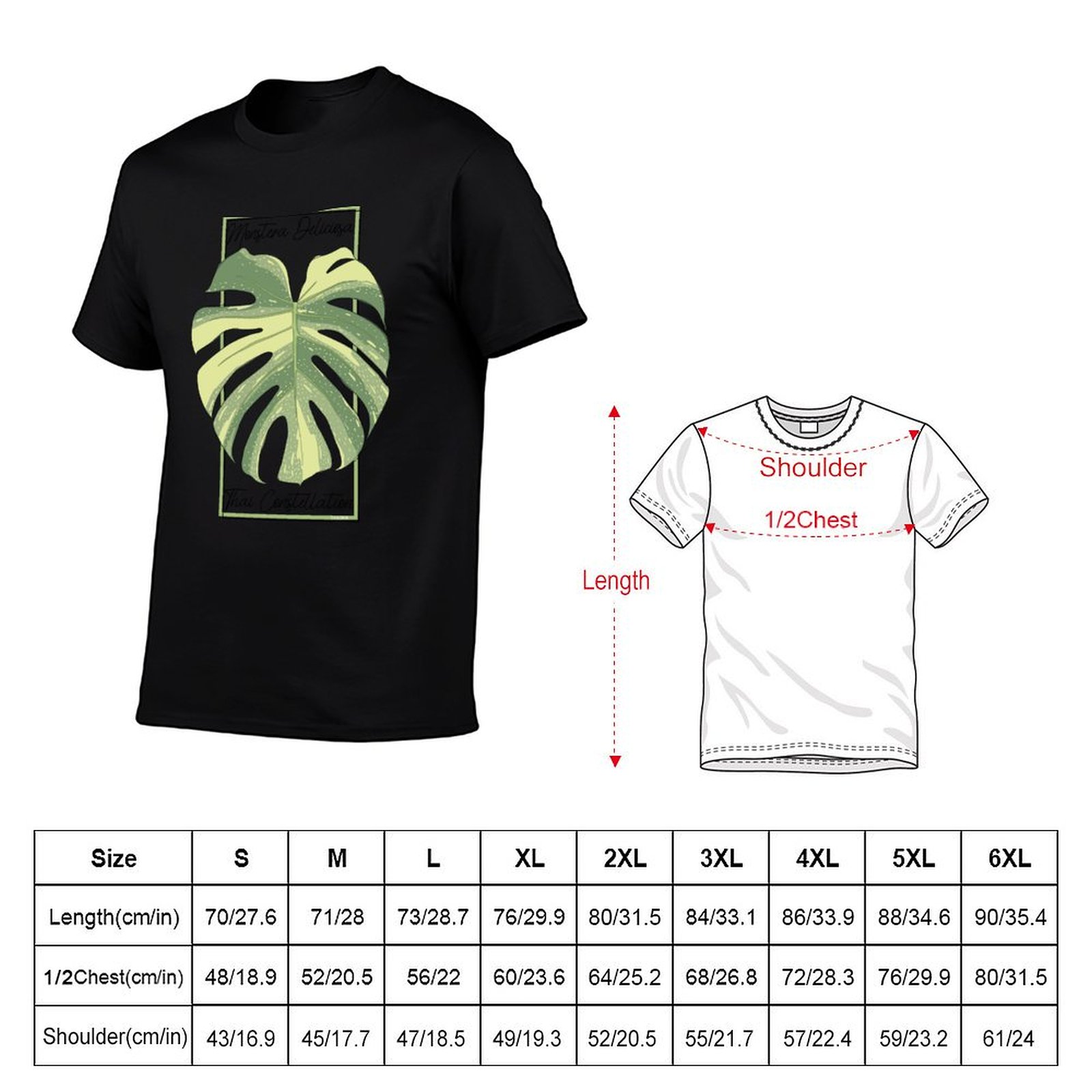 Monstera Thai Constellation Bo - Monstera Thai Constellation ulasan dan harga