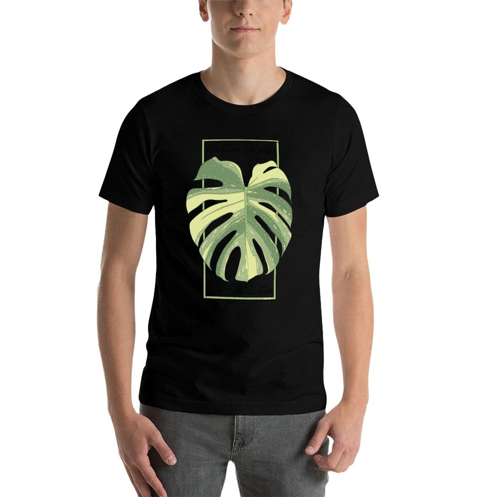 Monstera Thai Constellation Bo - Monstera Thai Constellation ulasan dan harga