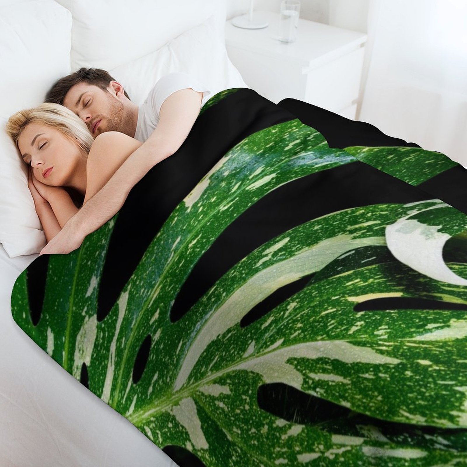 Monstera Thai Constellation Th - Monstera Thai Constellation ulasan dan harga