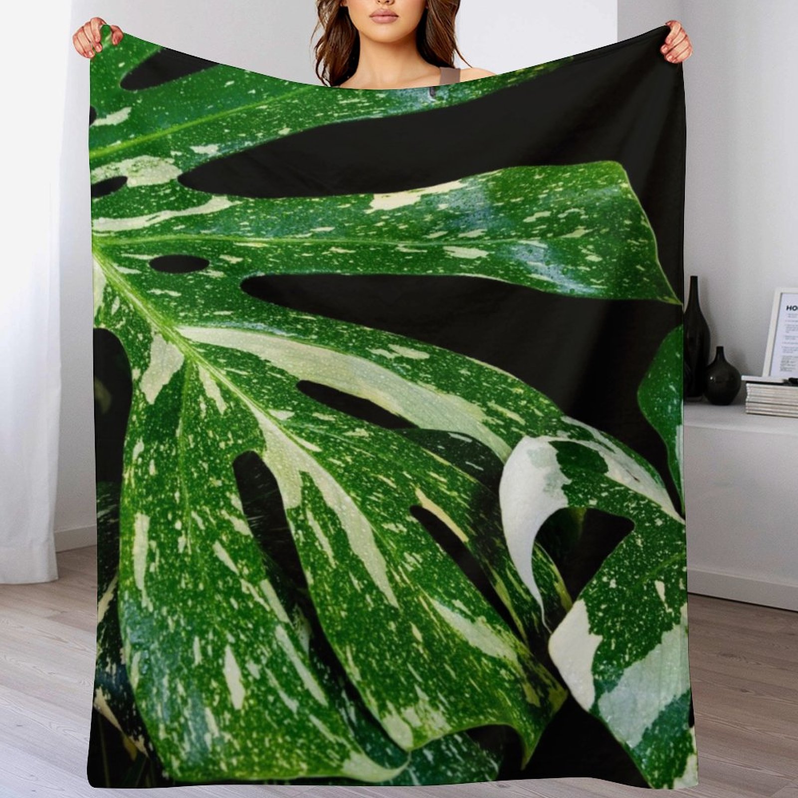 Monstera Thai Constellation Th - Monstera Thai Constellation ulasan dan harga