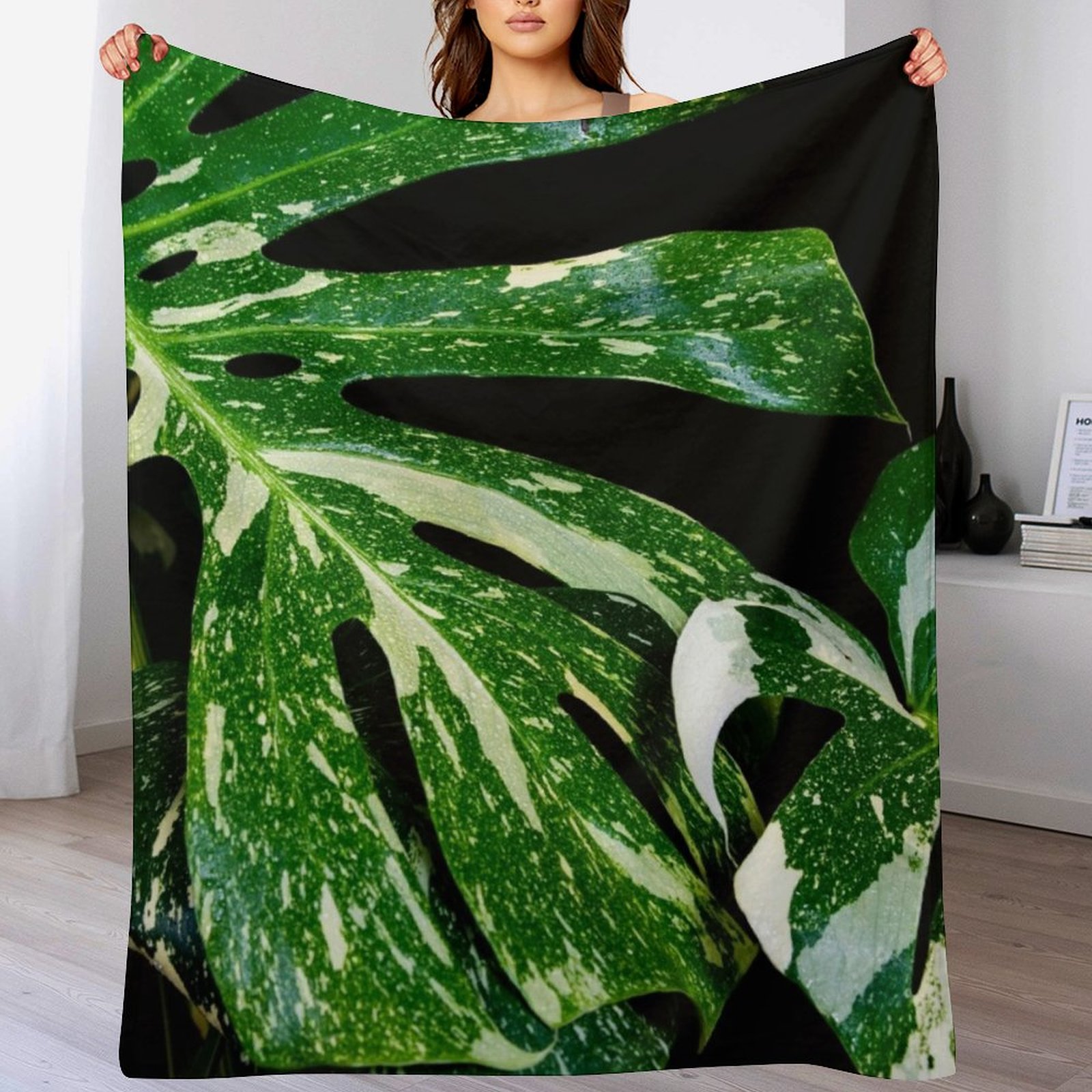 Monstera Thai Constellation Th - Monstera Thai Constellation ulasan dan harga