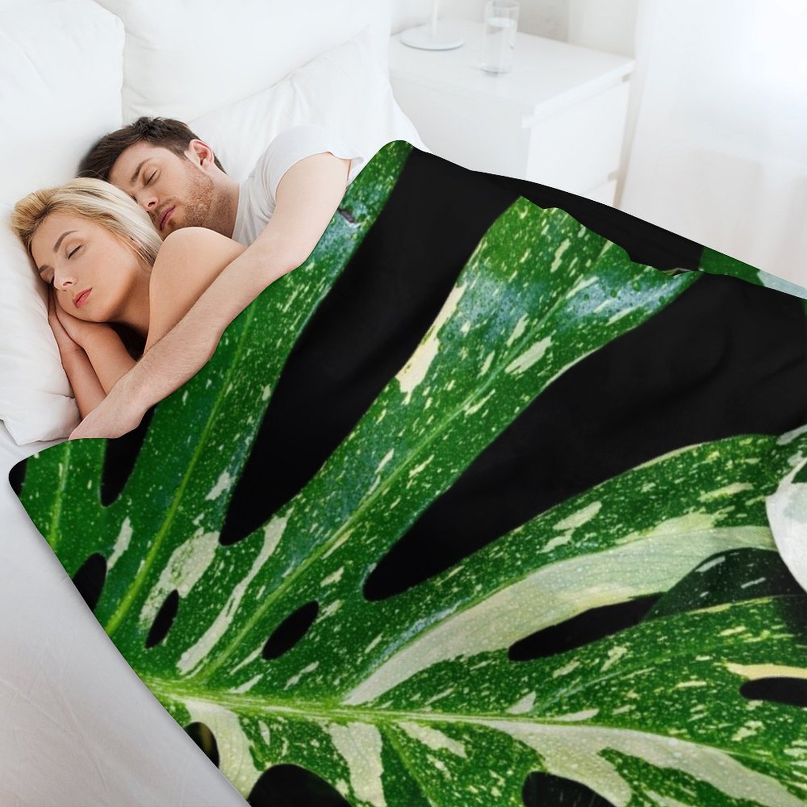 Monstera Thai Constellation Th - Monstera Thai Constellation ulasan dan harga