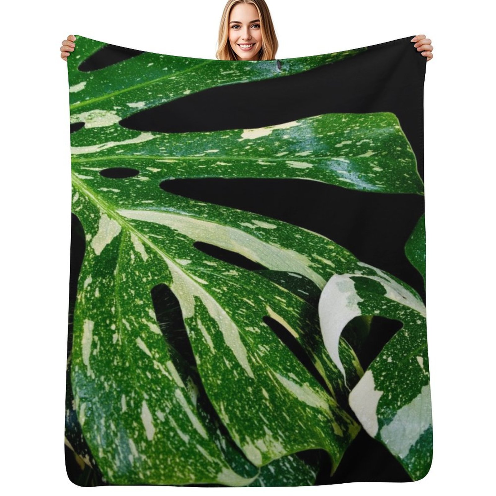 Monstera Thai Constellation Th - Monstera Thai Constellation ulasan dan harga